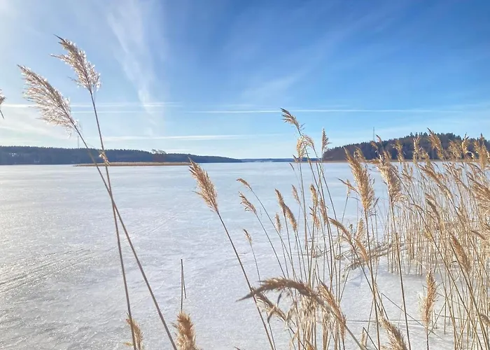 Lindallen * 菲斯卡斯